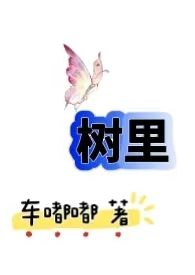 从农村包围城市h 车嘟嘟