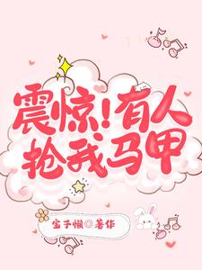 震惊有人抢我马甲TXT百度资源