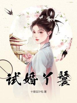 试婚丫鬟的背景设定是哪个朝代