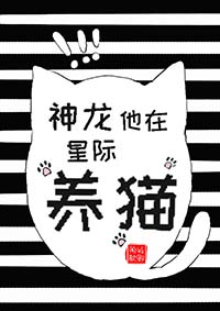 星际神龙系统