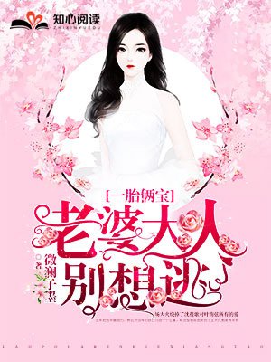老婆大人别想逃全文免费阅