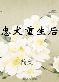 巅峰王牌是什么段位