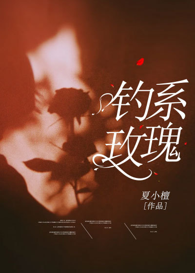 皎皎月光孤落星