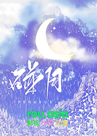 碰瓷过日子