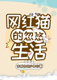 网红猫的忽悠生活txt百度