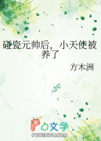 碰瓷元帅后小天使被养了