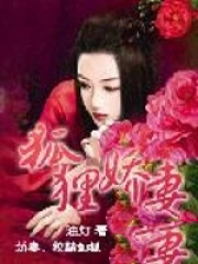 我的狐狸娇妻